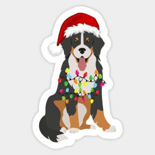 Bernese Holiday Christmas Light - Funny Bernese Mountain Dog Lights Christmas in Santa Hat Holiday Santa Sticker